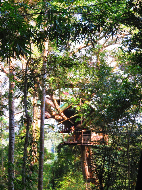 laos boomhut Gibbon Experience Iris Timmermans