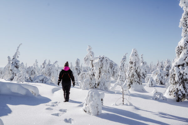 lapland tips hoe een reis boeken
