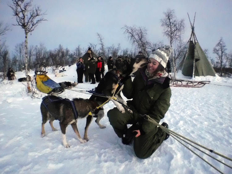 lapland weer huskeys