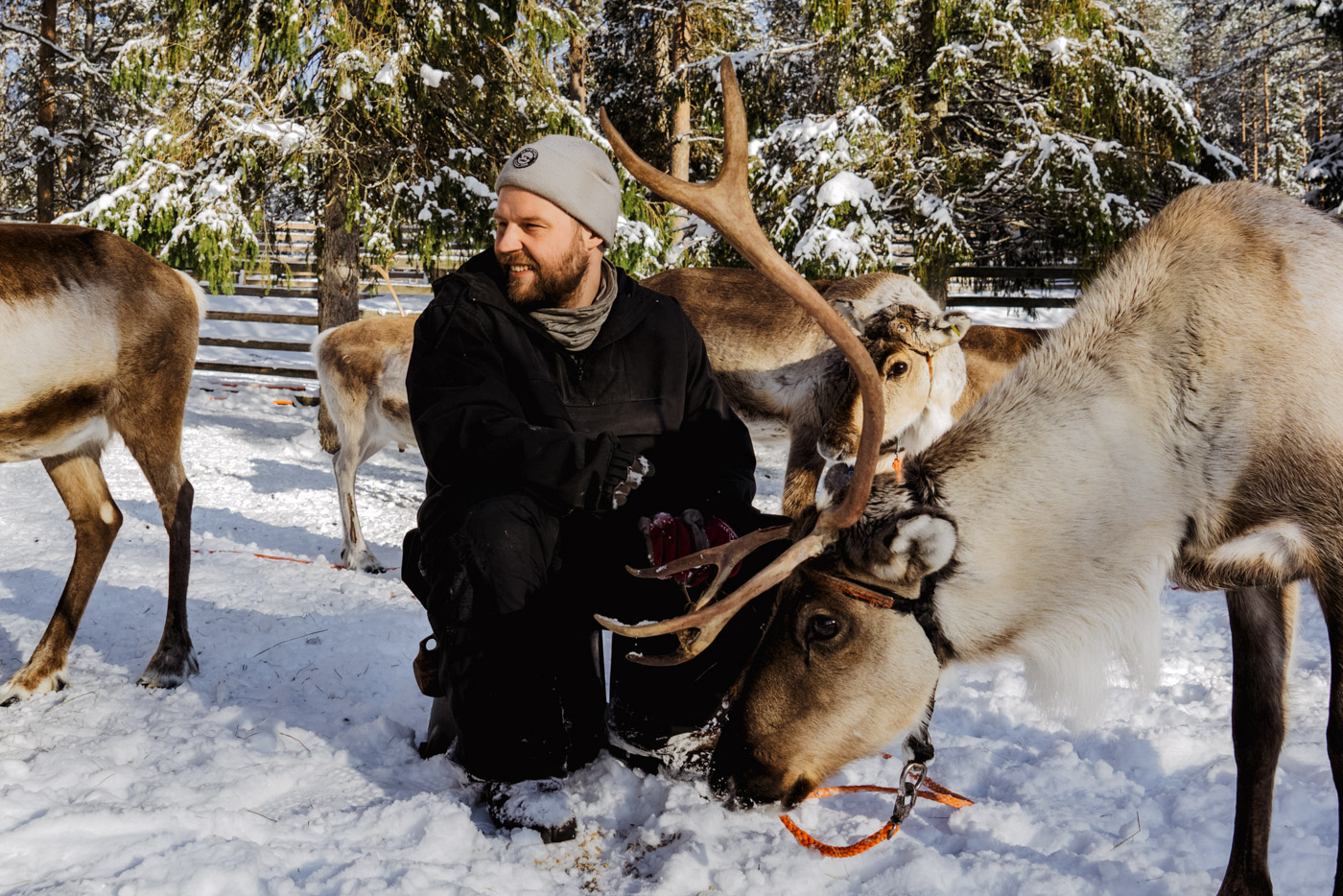 locals lapland_