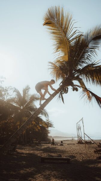 man klimt in boom in tayrona colombia