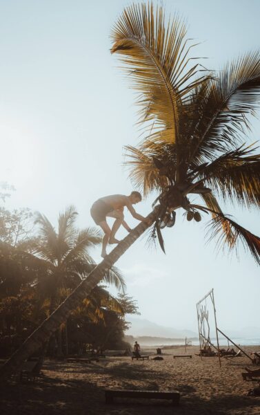 man klimt in boom in tayrona colombia