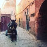 marrakech-souks-straatjes