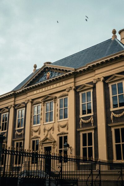 Facade of the Mauritshuis museum with ornate stonework, crest, and blue slate roof, seen behind a black iron fence with a pale sky above.