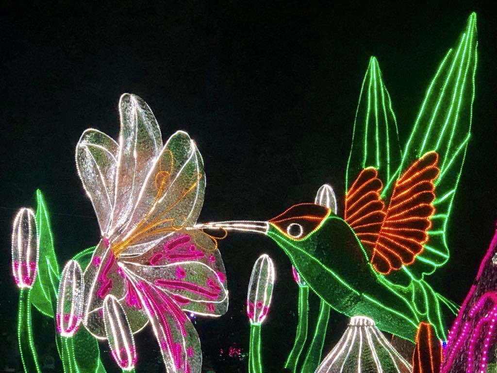 medellin colombia lichtjes festival