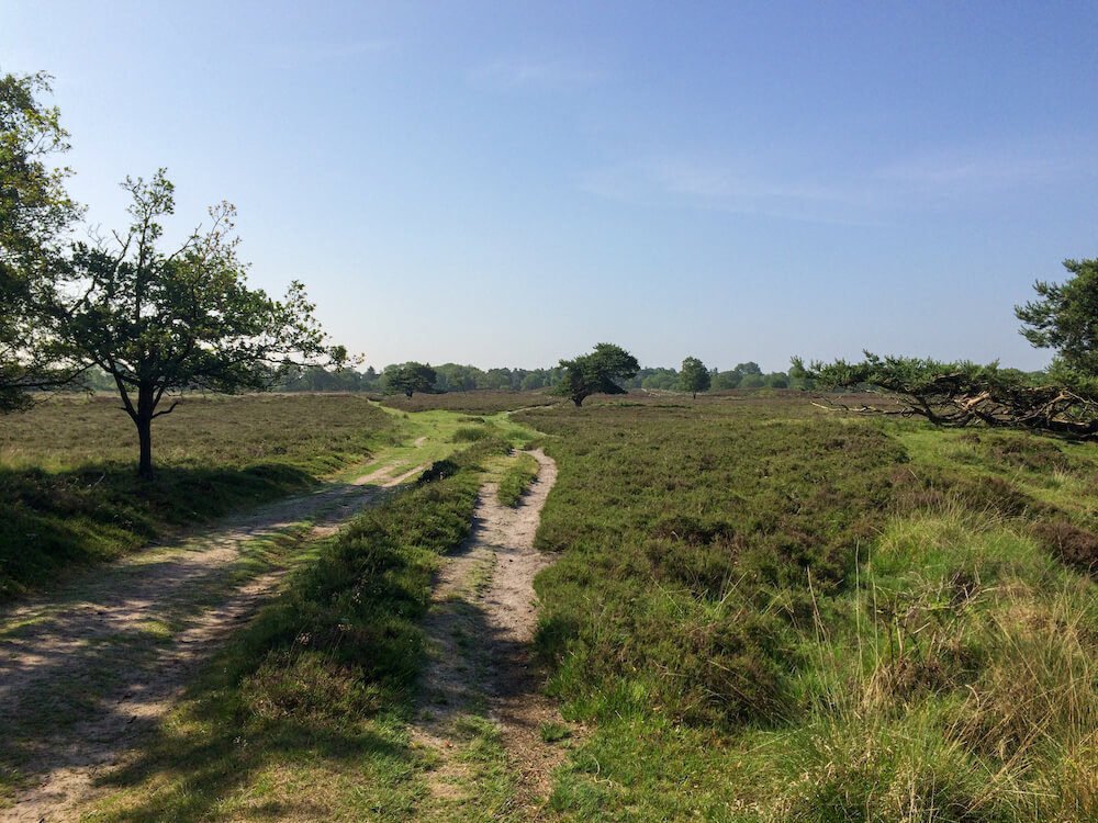 meerdaagse wandeltocht nederland PieterPad wandelen
