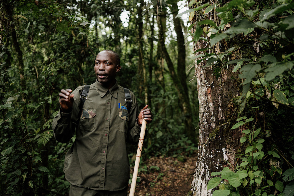 met gids jungle in tijdens rwanda reizen