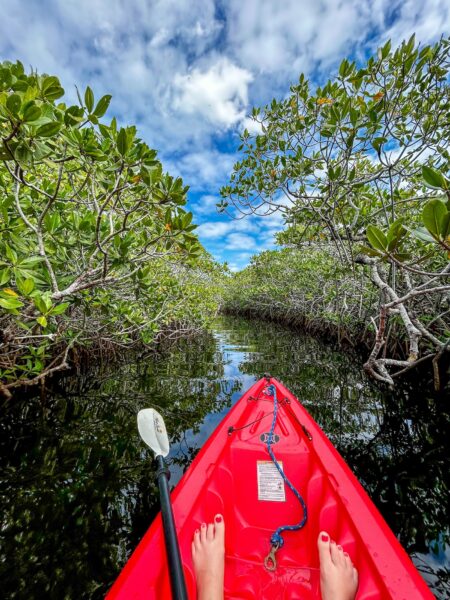 met kano in mangrove key largo