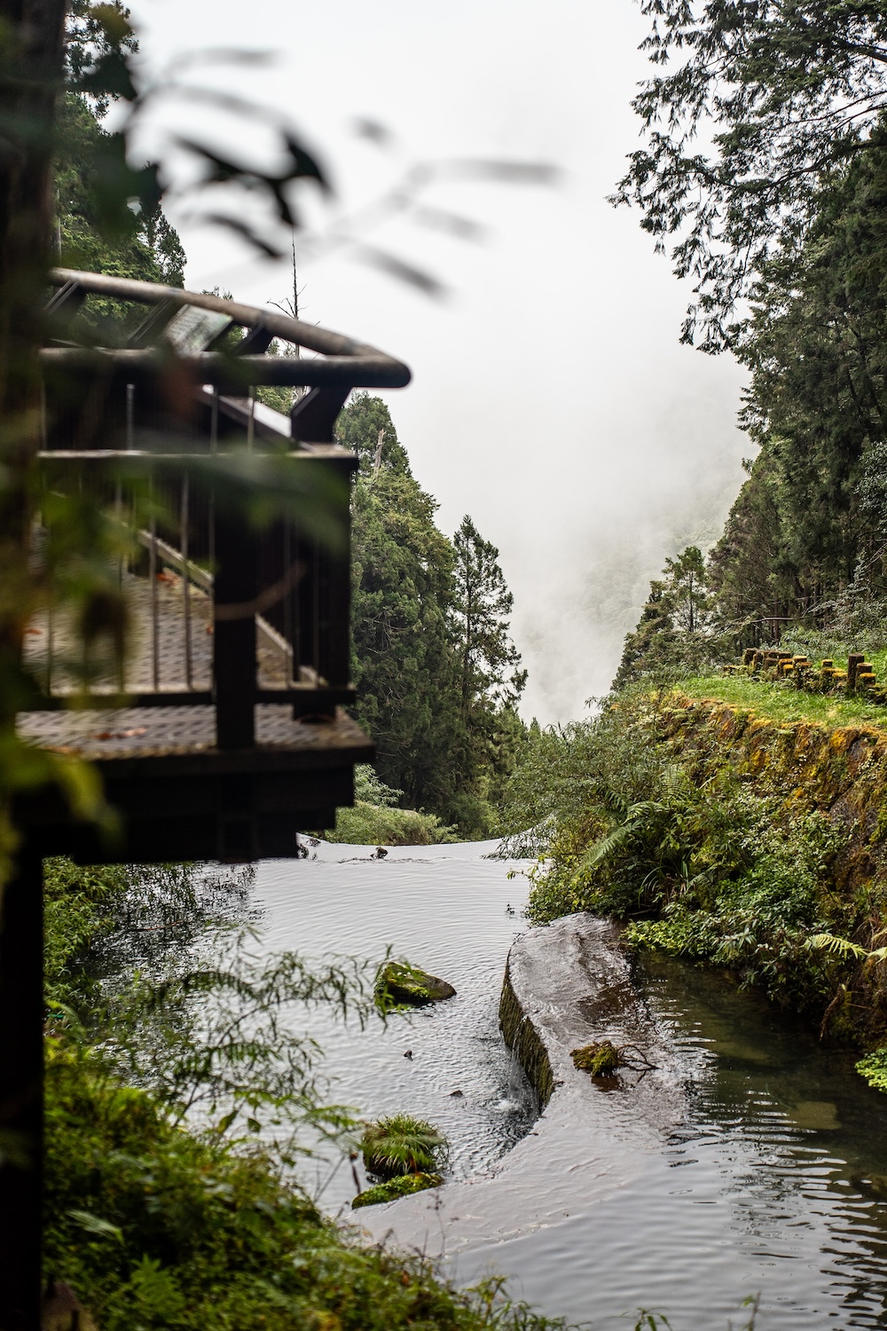mistig bos, Alishan