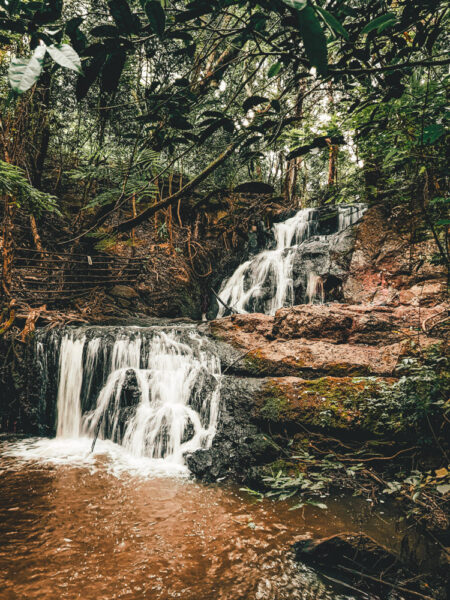 nairobi Karura Forest