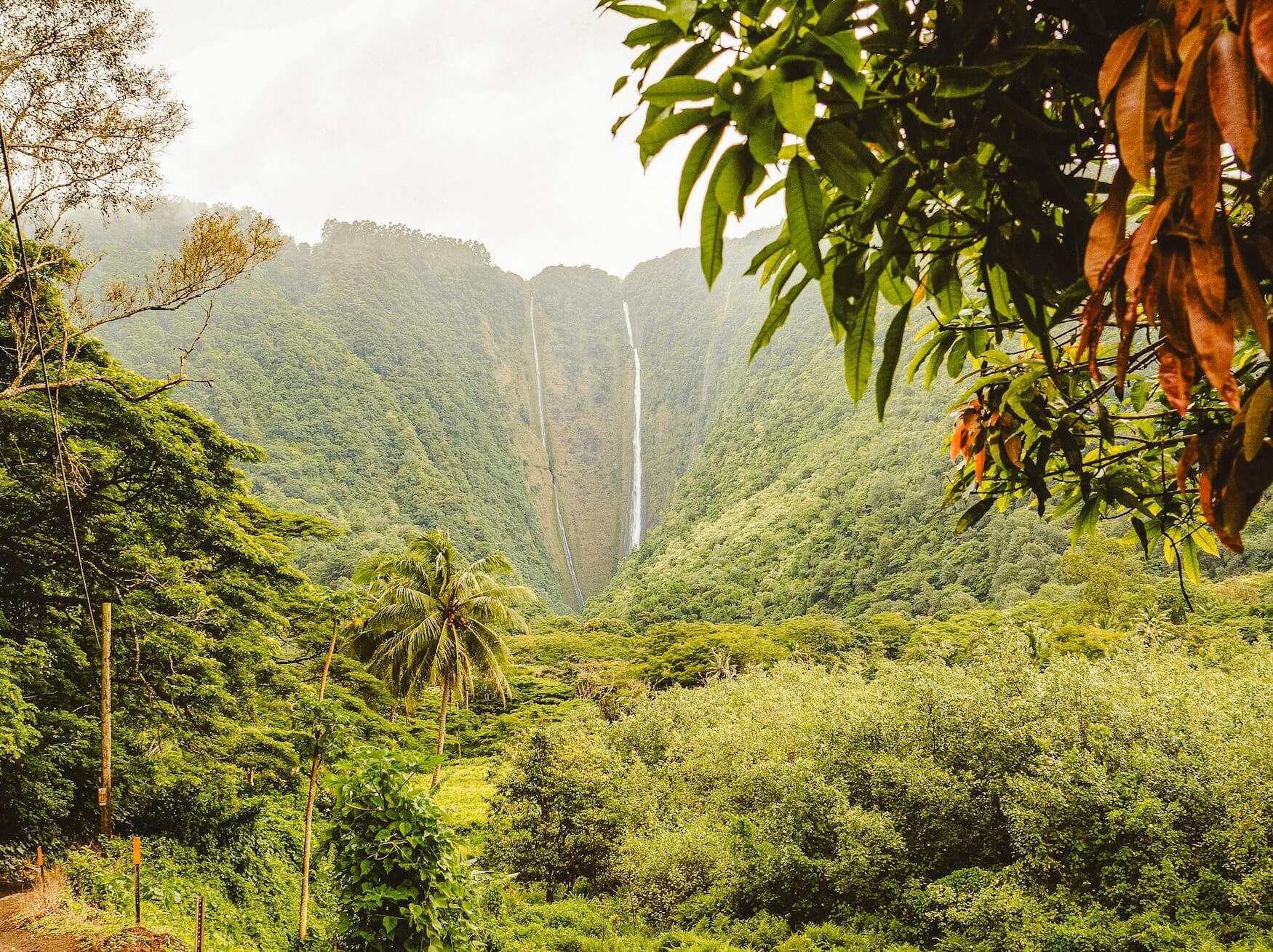 natuur big island hawaii