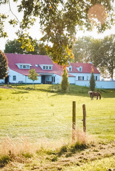 natuurcamping europa nederland