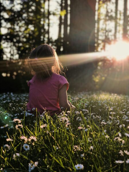 natuurcamping vinden in europa