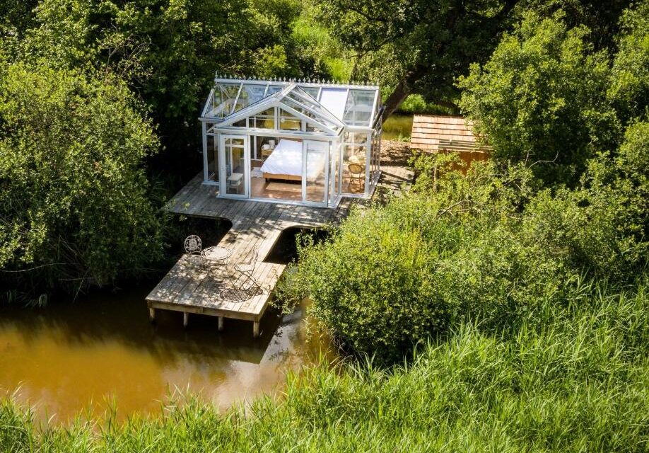 nids des marais dome dinant