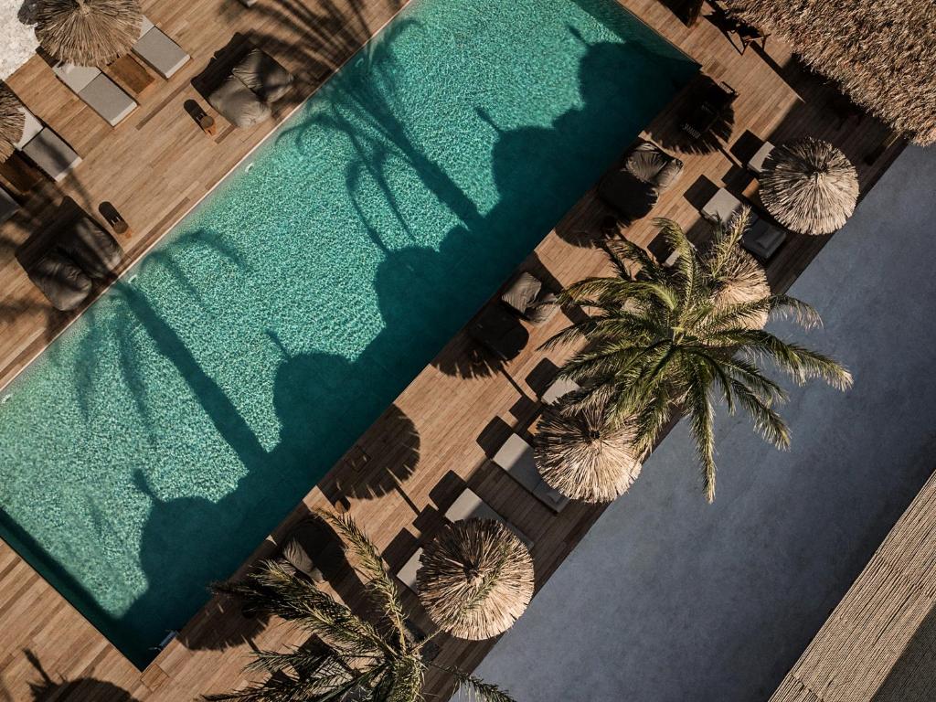 Aerial view of a turquoise rectangular pool bordered by a wooden deck, lounge chairs, and thatched umbrellas with palm trees nearby.