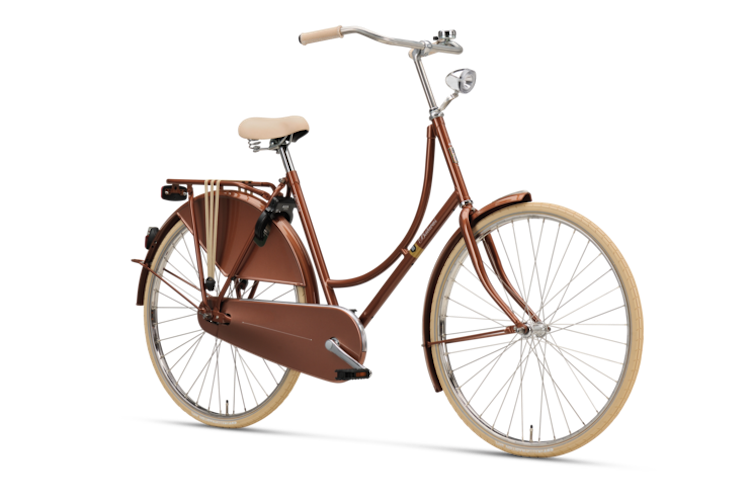 old dutch trendy fietsen batavus