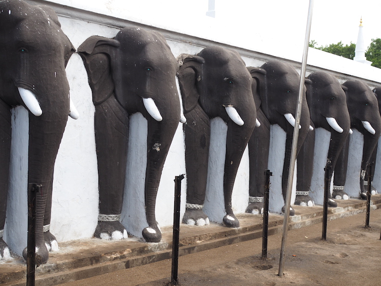 olifanten Ruwanweliseya anuradhapura