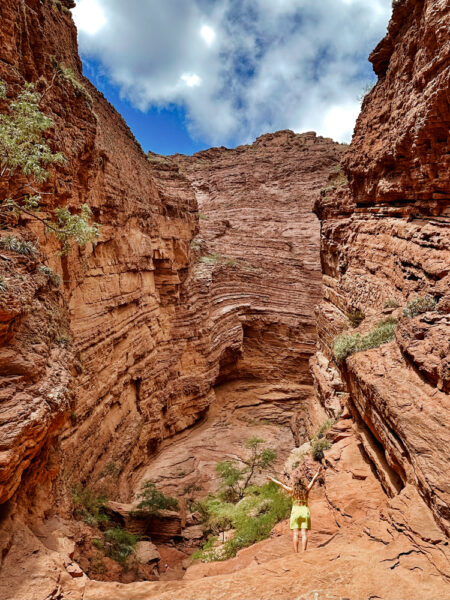omging van cafayate argentinie-2