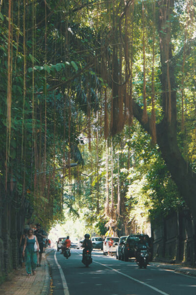 onderweg naar tempel ubud bali