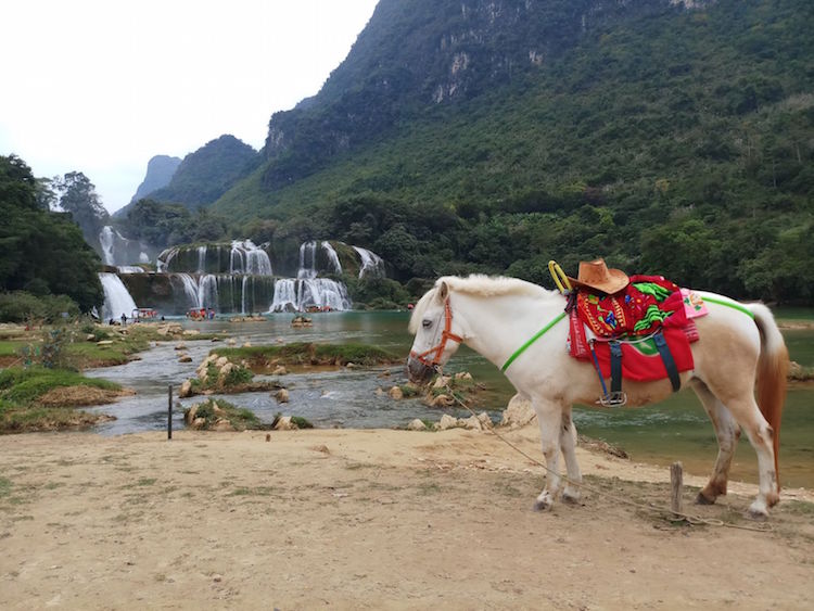 paard Ban Gioc Waterfall