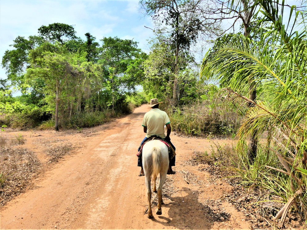 pantanal paardrijden in brazilie