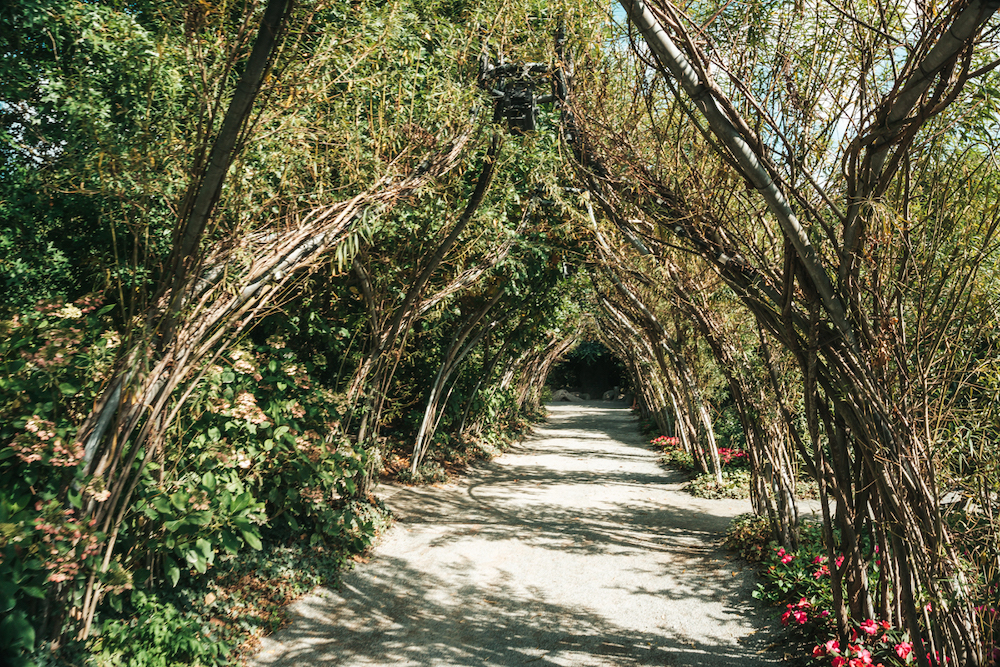 pays de la loire, terra botanica