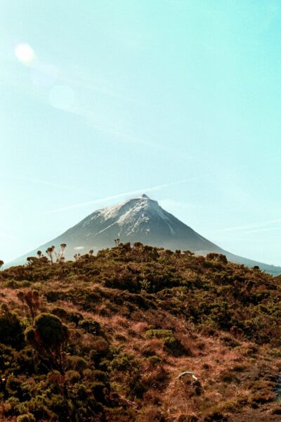 Snow-capped mountain peak rises above a shrub-filled foreground under a bright blue sky.