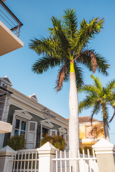 pietermaai tips curacao