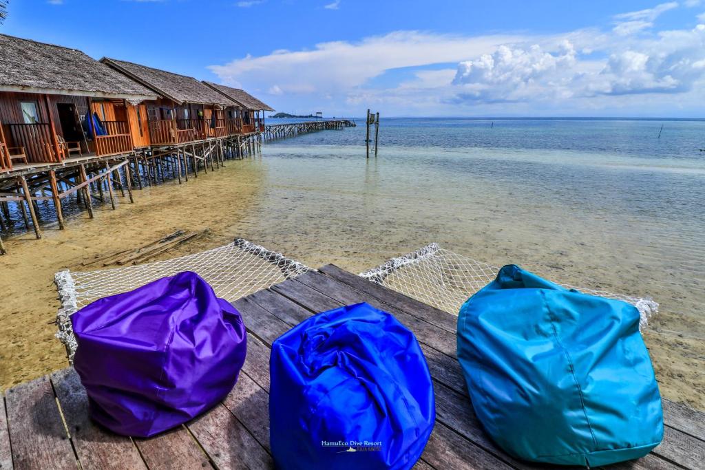 raja ampat bij de hamu eco lodge