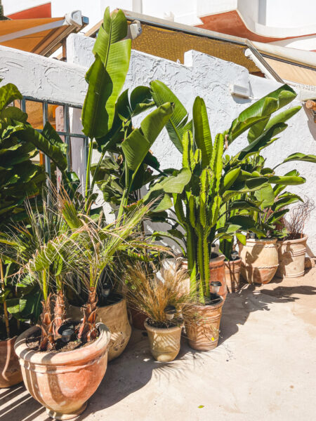 restaurants santa eularia_-2