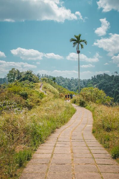 rijstvelden ubud campuhan ridge walk