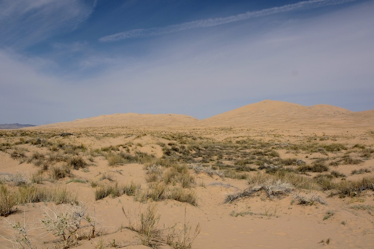 roadtrip californie arizona tips Mojave National Preserve - Kelso Dunes