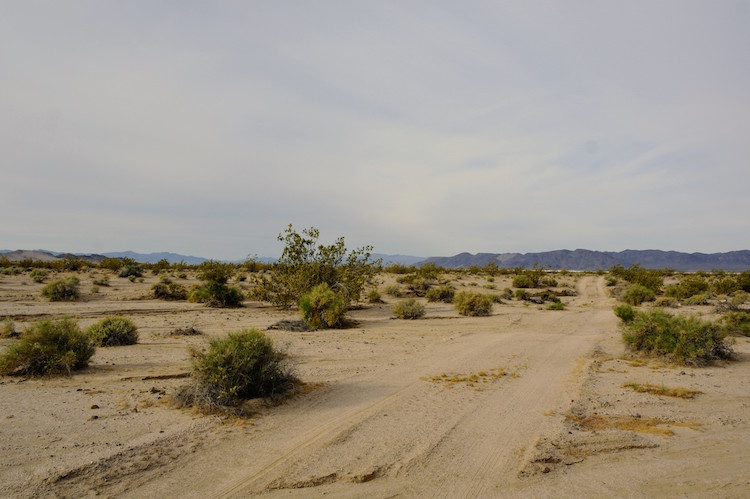 roadtrip californie arizona tips Mojave National Preserve