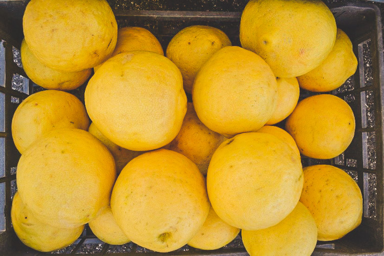 rondreis amalfikust enorme citroenen Sorrento