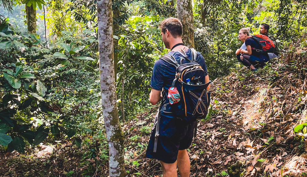 rondreis sumatra bukit lawang