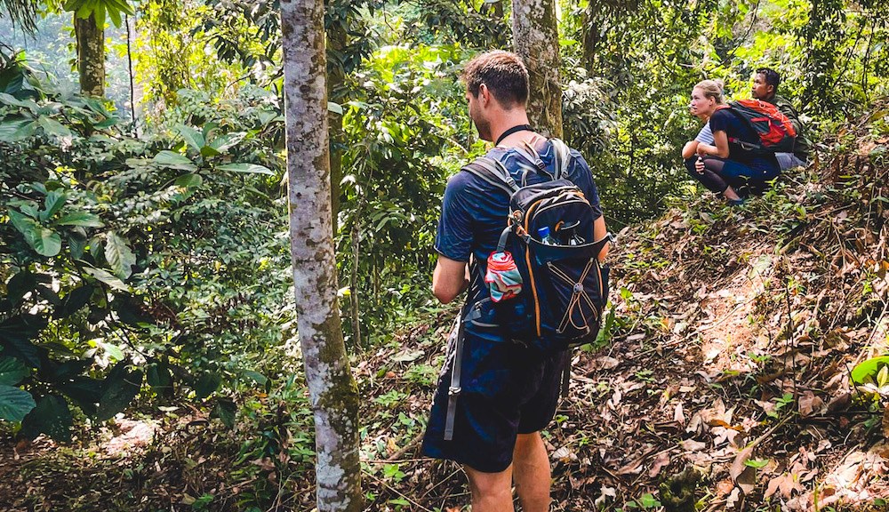 rondreis sumatra bukit lawang