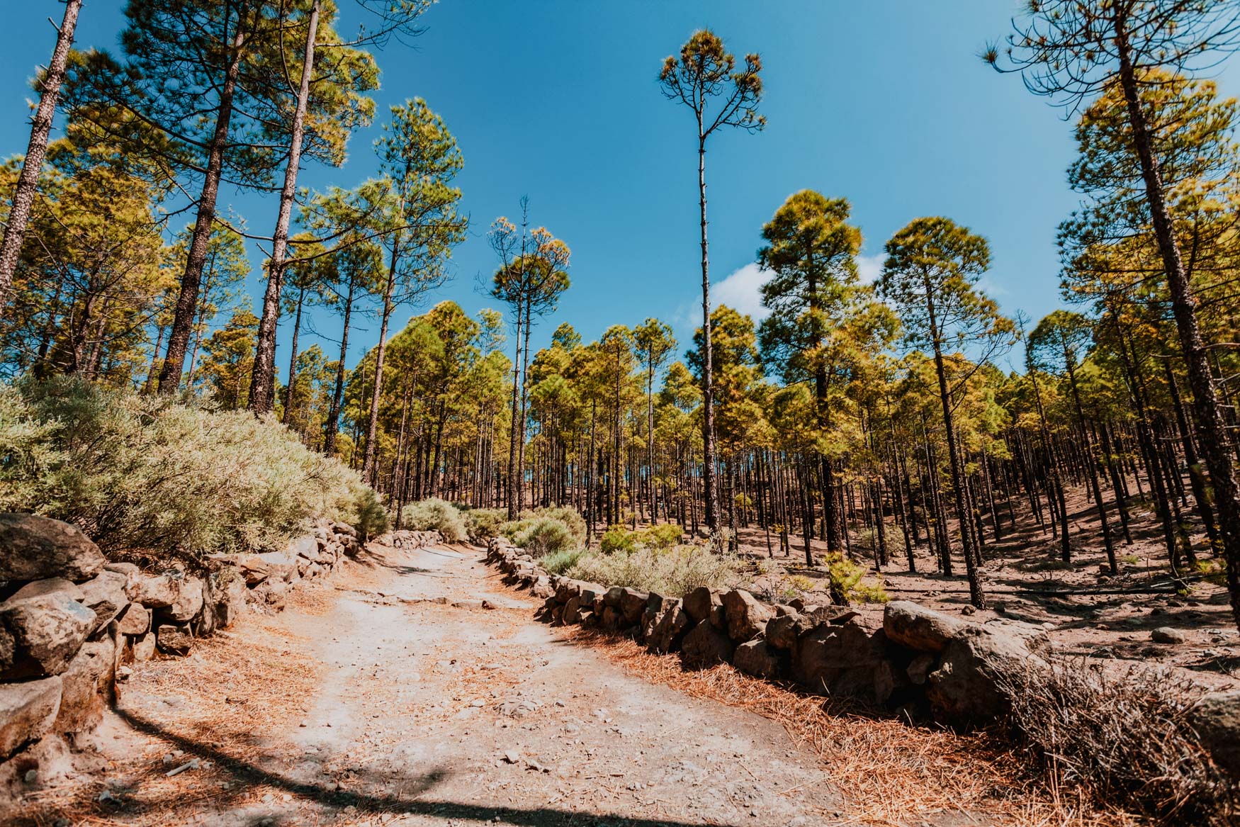 roque nublo wandeling