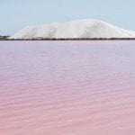 roze meer frankrijk salins aigues mortes-2
