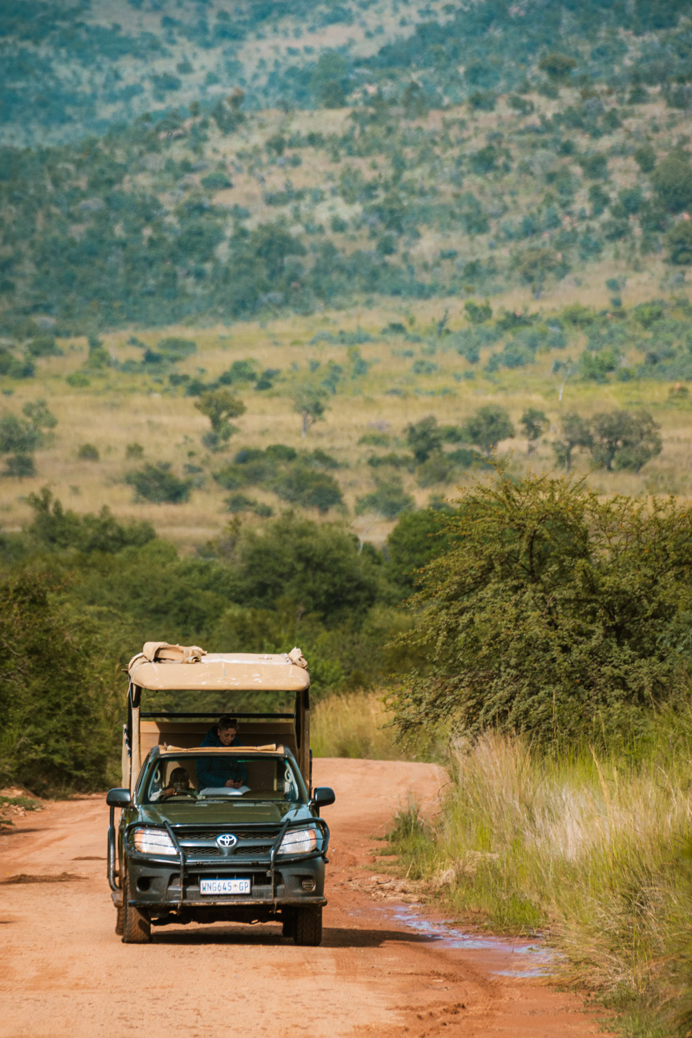 safari Pilanesberg national park