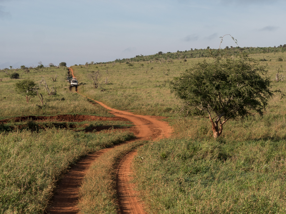 safari-Taita-Hills-kenia
