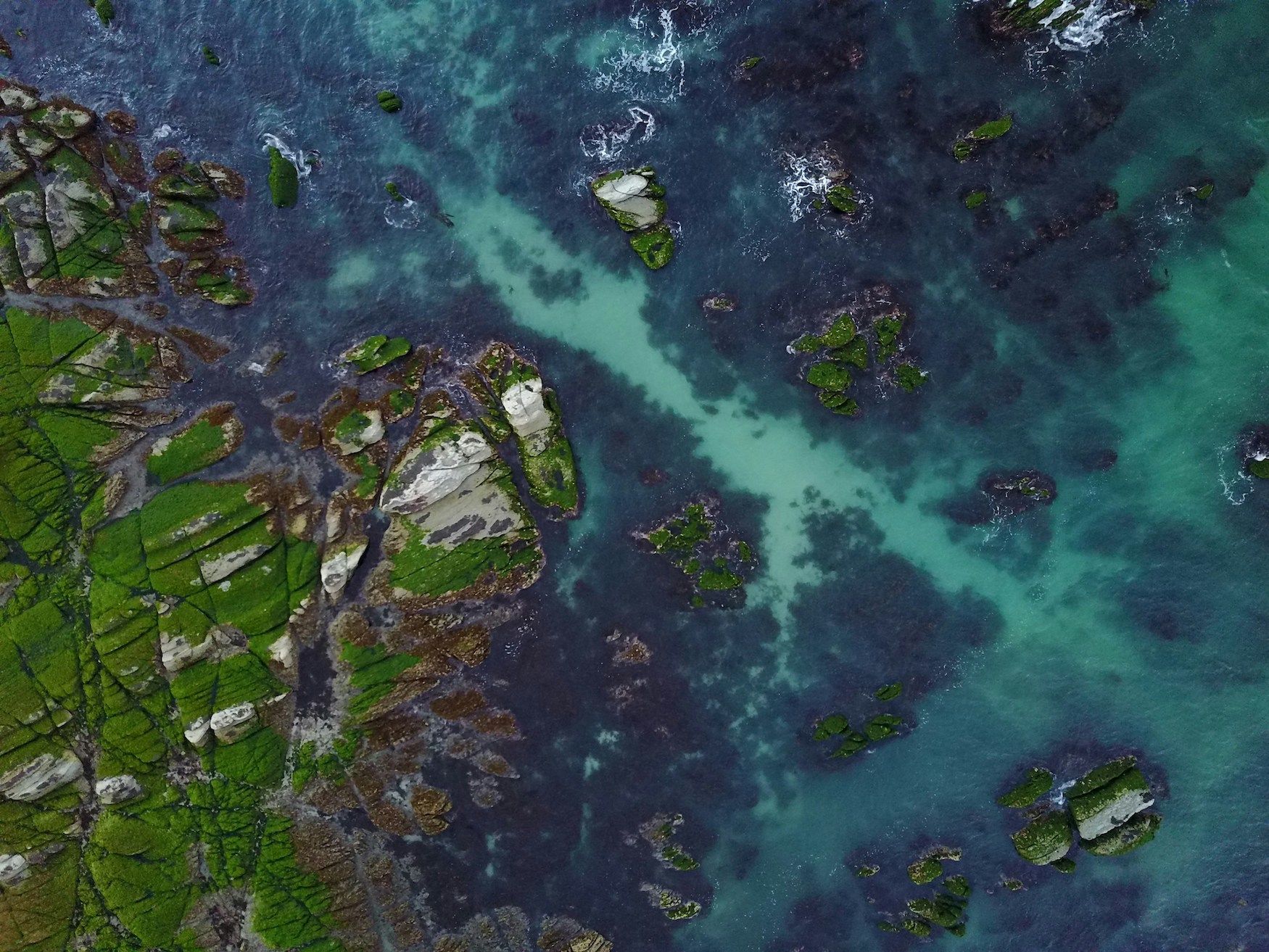 scenic flight kaikoura nieuw zeeland