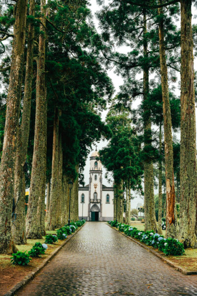 Tree-lined cobblestone path toward a white church with a bell tower and arched doorway at the end.