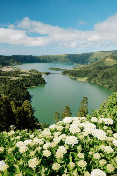 Aerial view of a blue-green lake in a valley with green hills and white hydrangea blooms in the foreground.