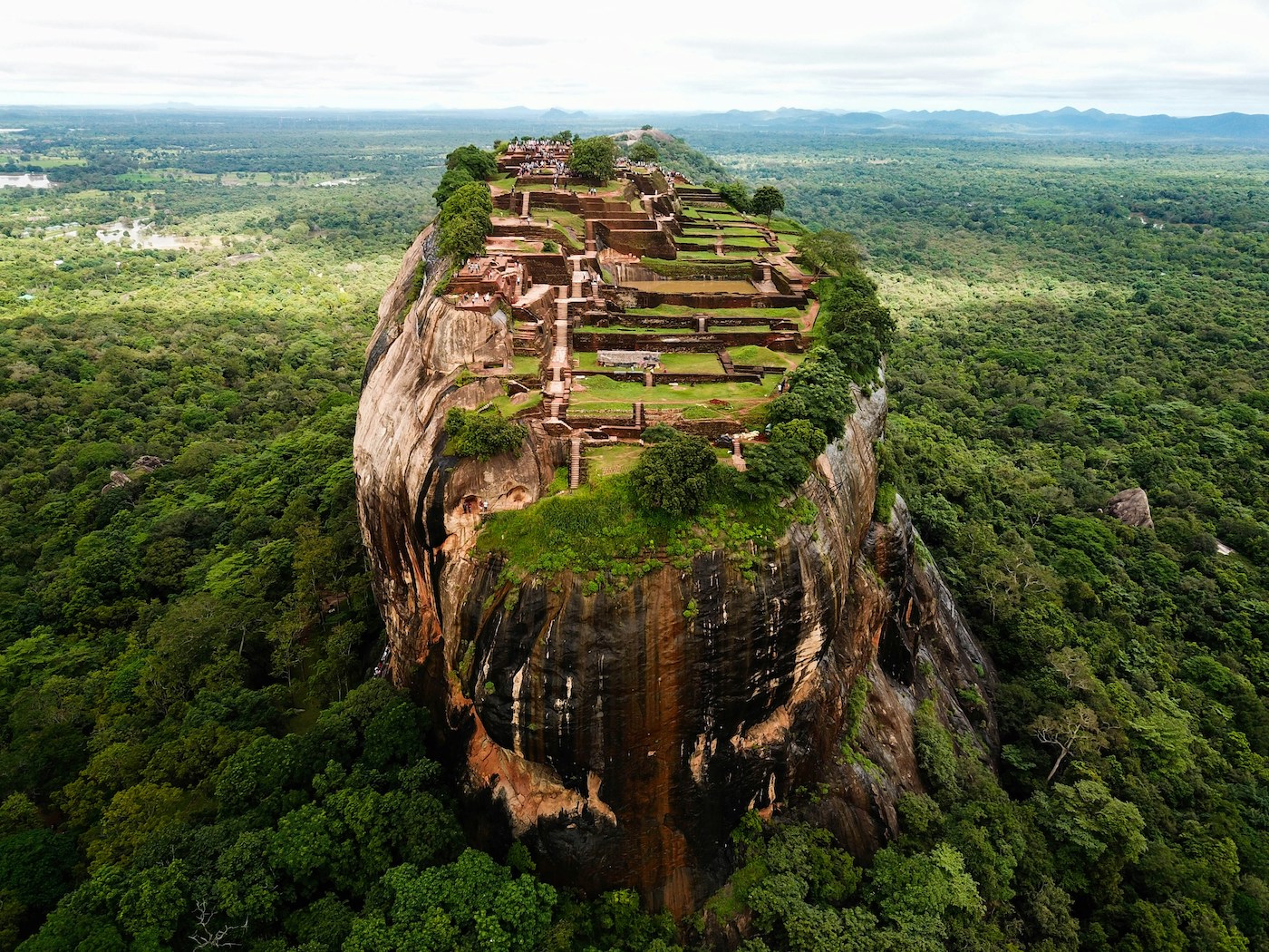 sigiriya sri lanka leeuwenrots