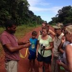 slang gevonden in jungle suriname tonen