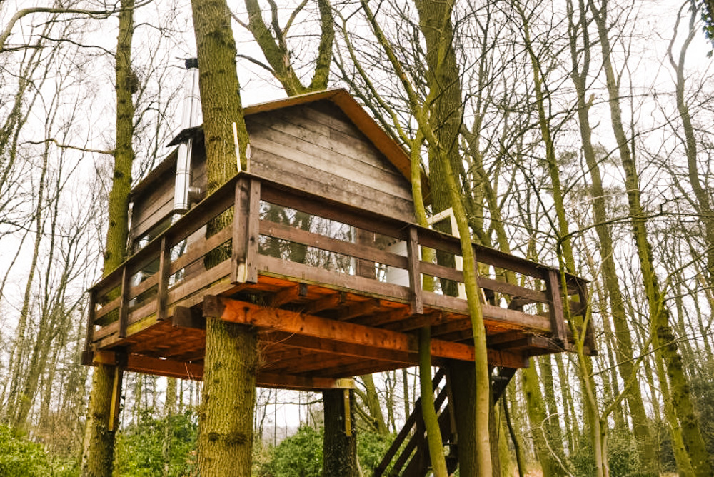 slapen in een boomhut Boomhut Overrijsel