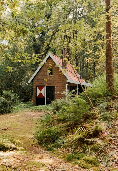 slapen in het bos badhuus uffelte-2