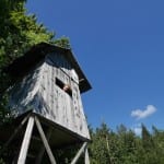 slovenie roadtrip boomhut vogelhuisje