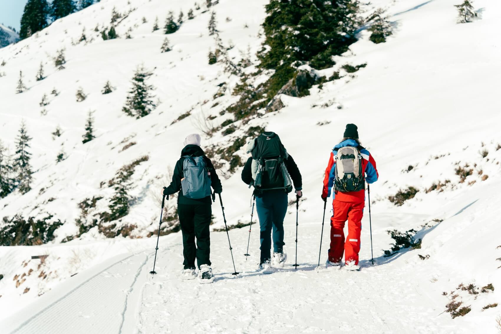 sneeuwschoenwandelen Bregenzerwald