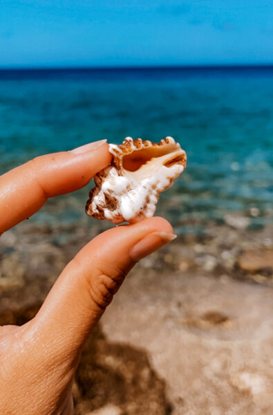 snorkelen curacao schelpen-2